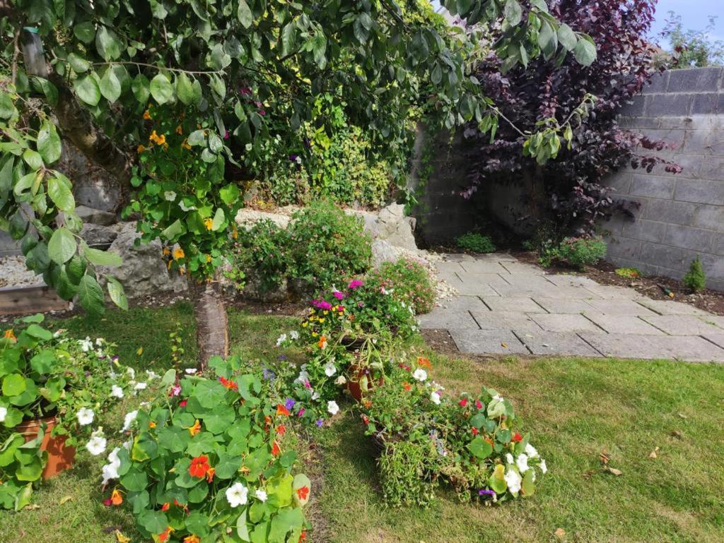 Glensheen Ennis Bagian luar foto